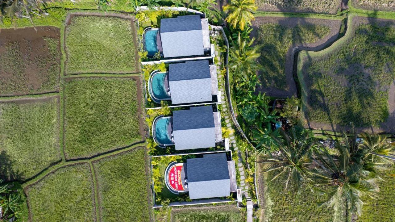 The Udiana Ubud photo