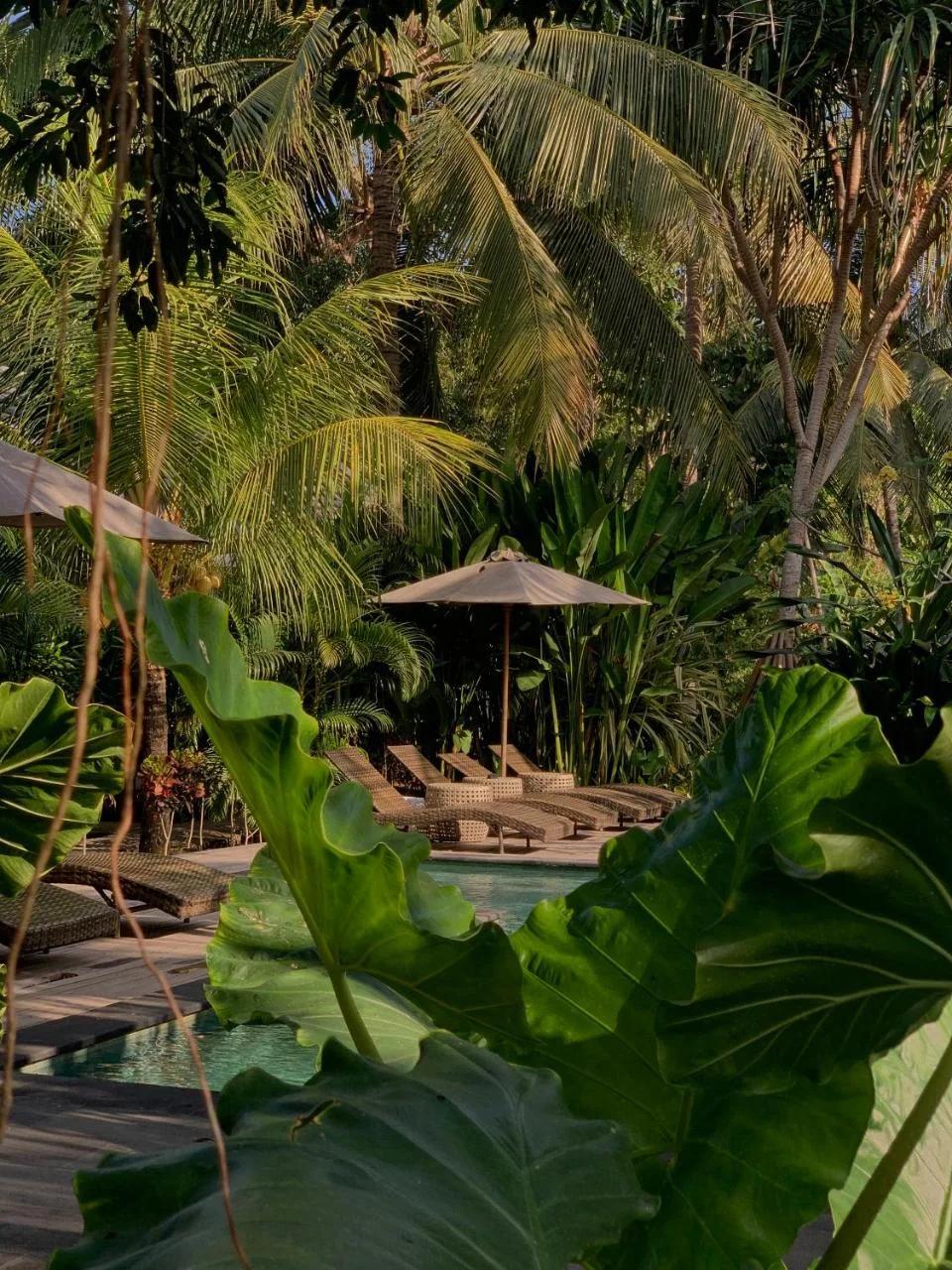 Udãra Hideaway Villa photo