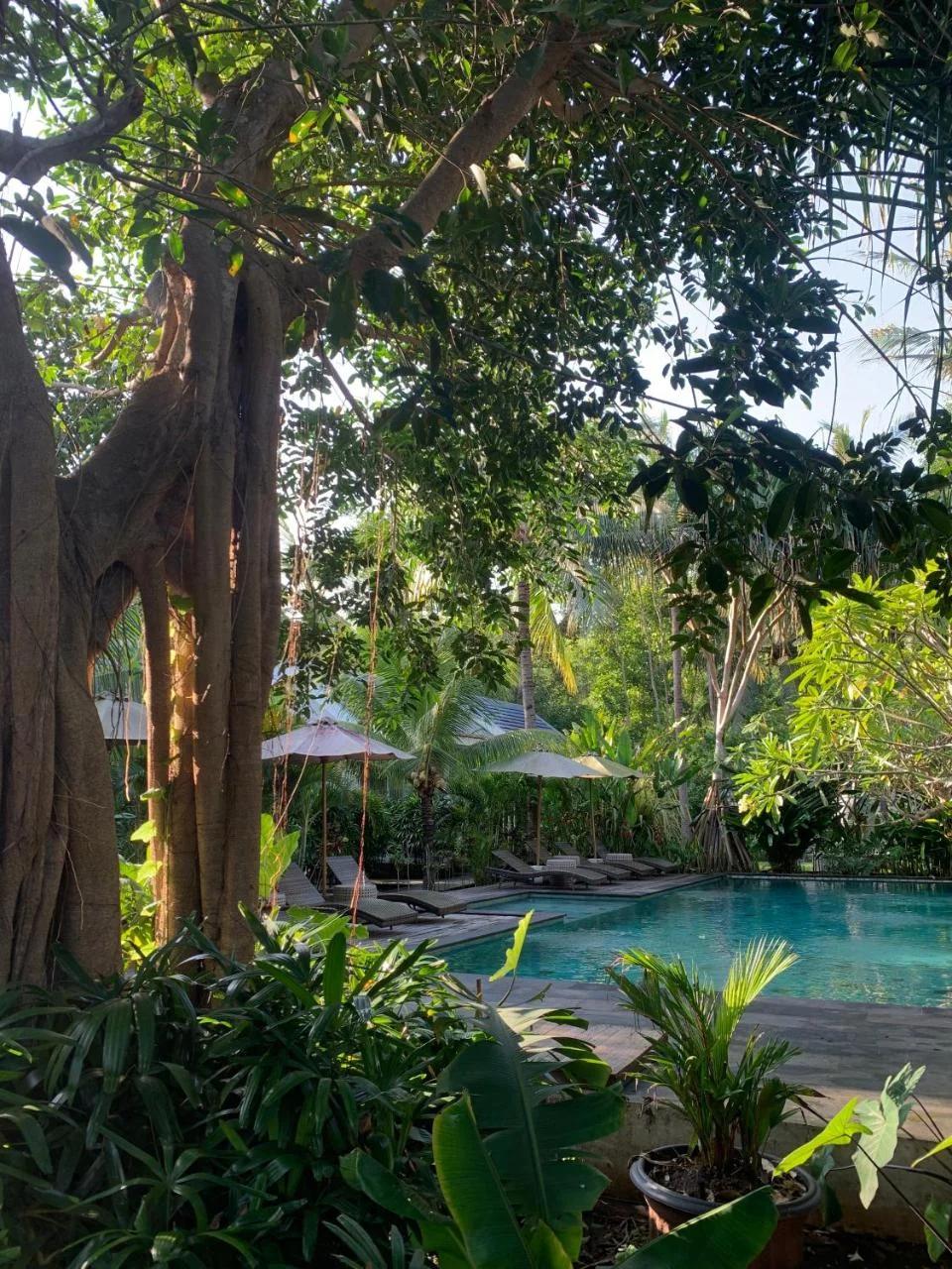 Udãra Hideaway Villa photo