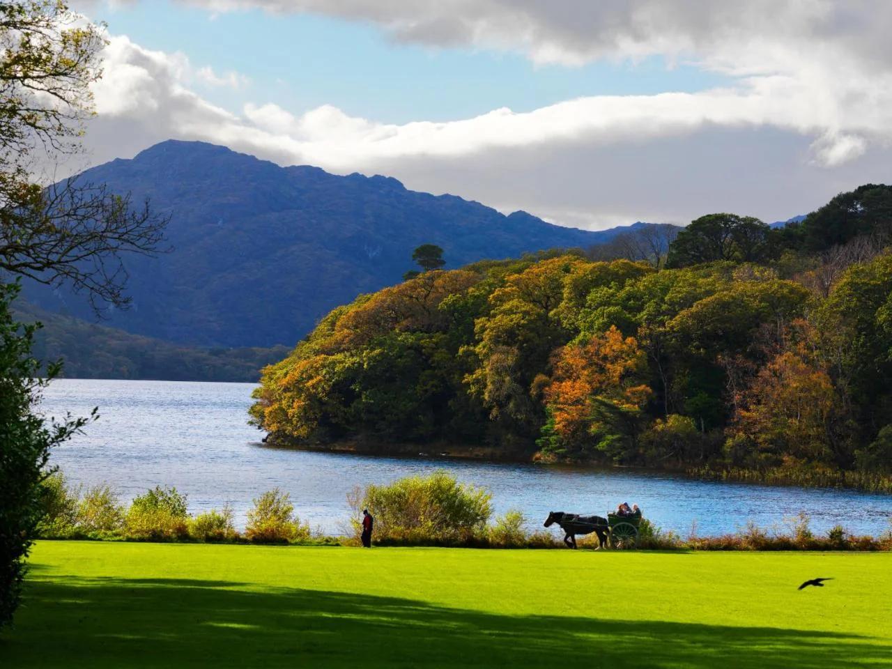 The Killarney Park photo
