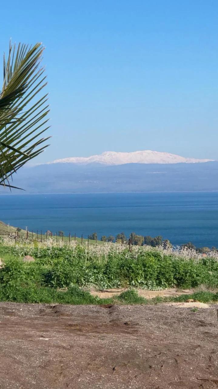 Kinneret View photo