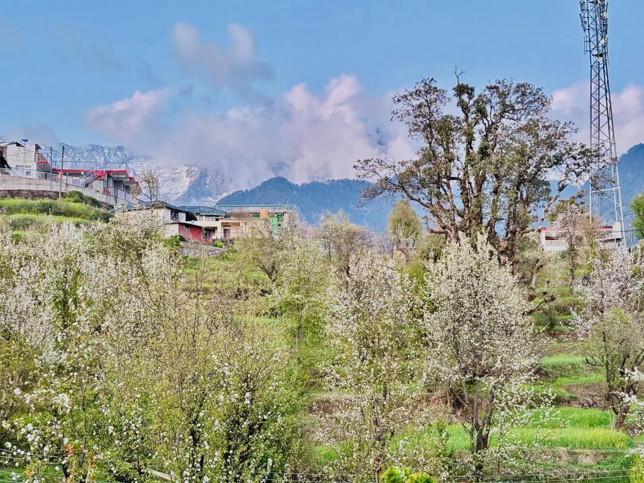 Abhi house Naddi photo