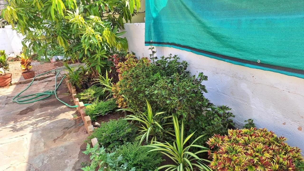 Golden Nest Home Stay foto