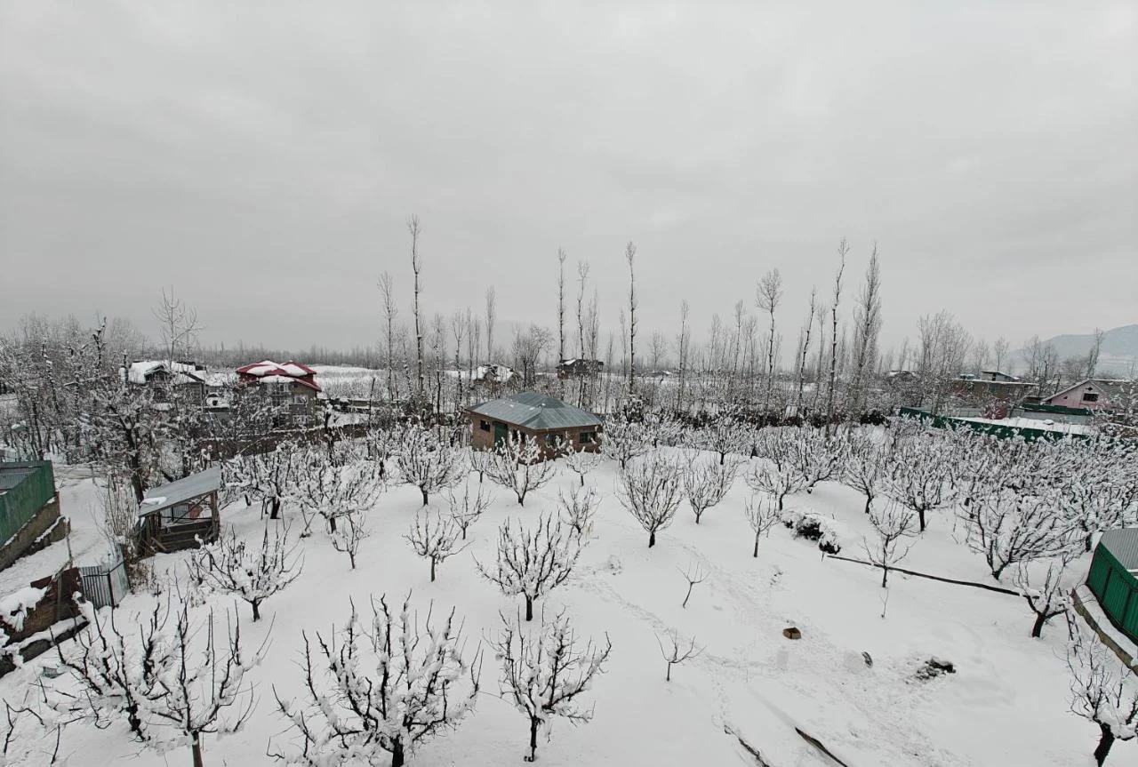 Gulmarg Orchard photo