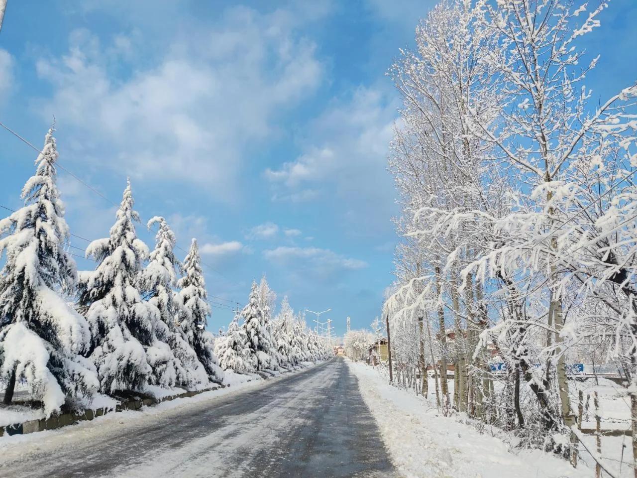 Kashmir Homestay photo