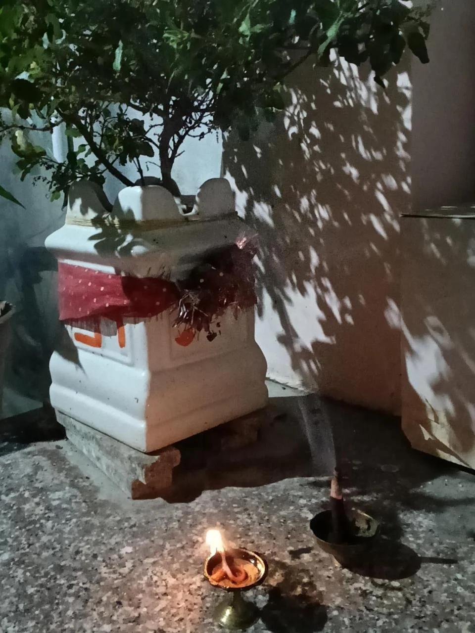Krishna's Paradise foto