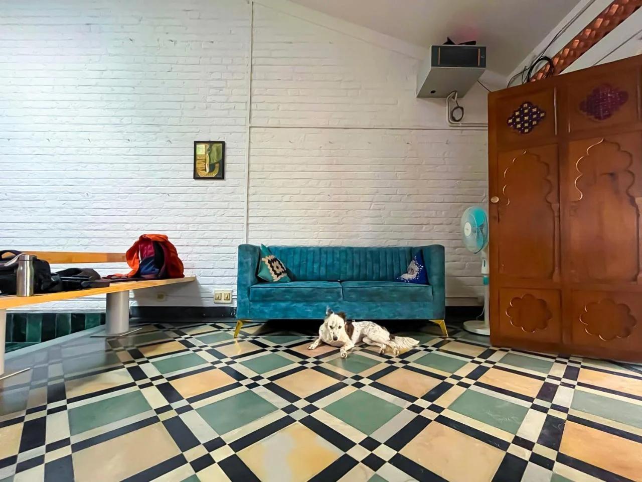 Rahees Bi Roambay - Backpacker Hostel foto