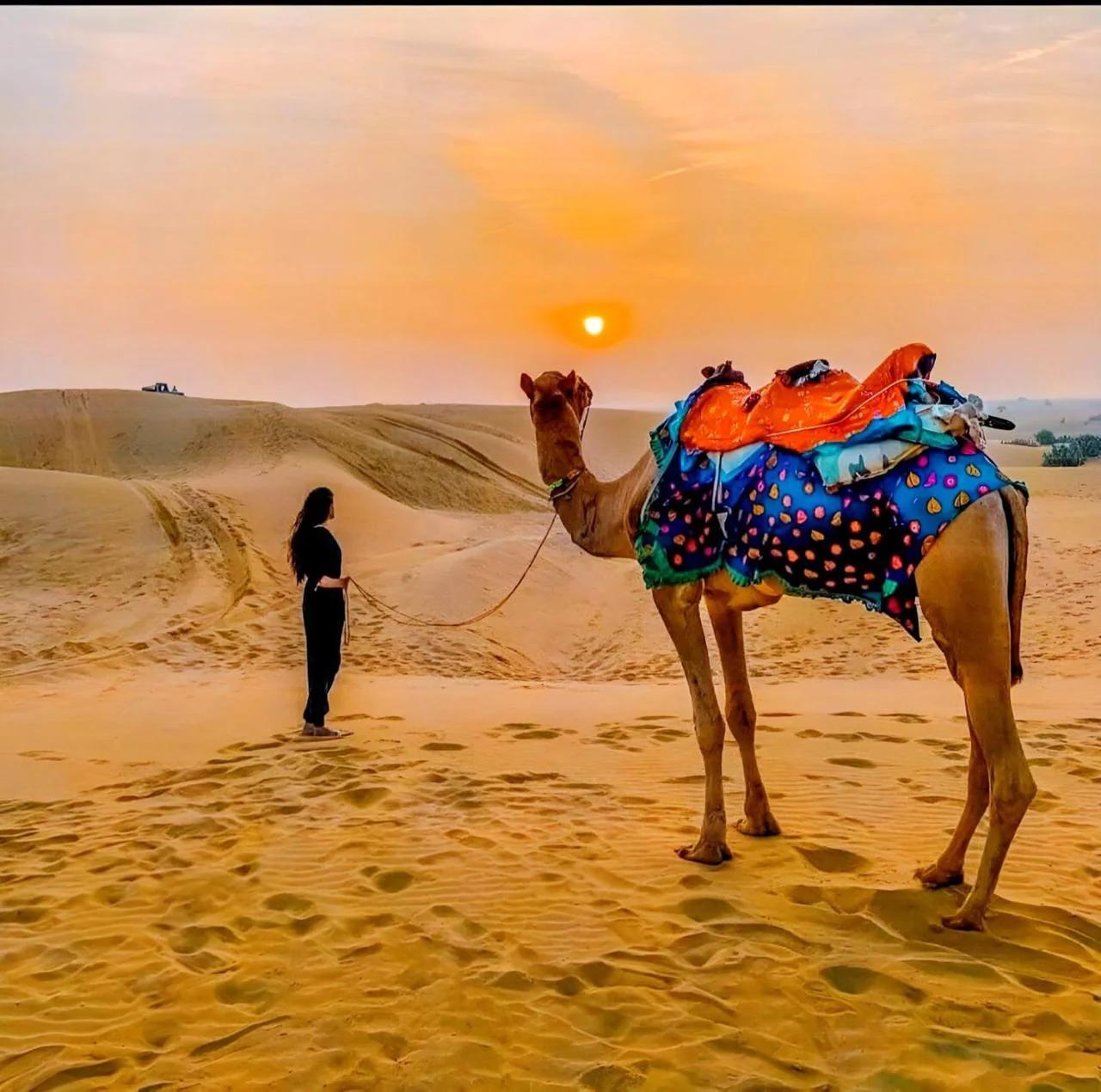 Serendipity Luxurious Desert Camp photo