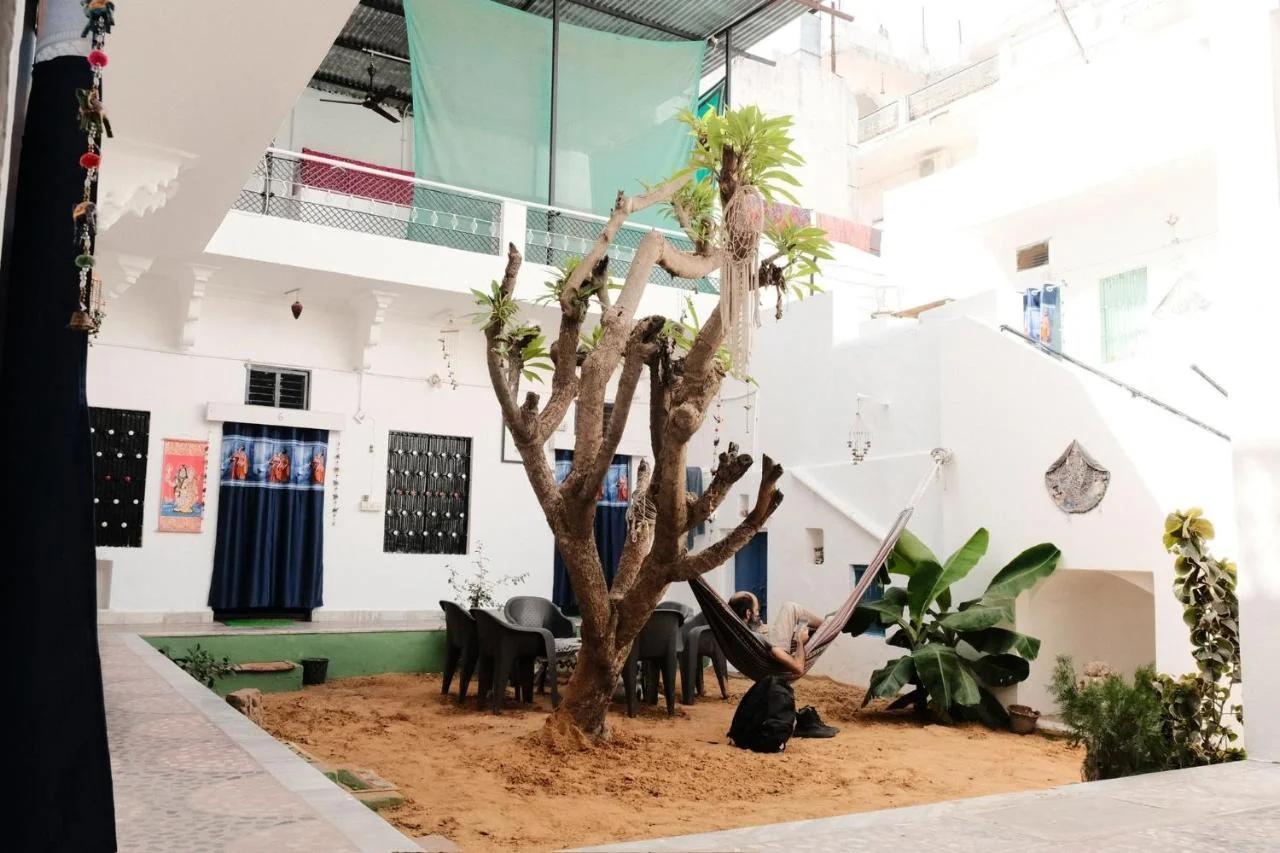 Shiva Guest House foto