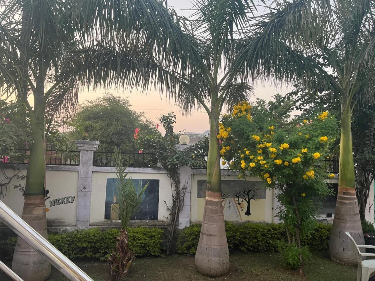 Sunrise Bed & Breakfast