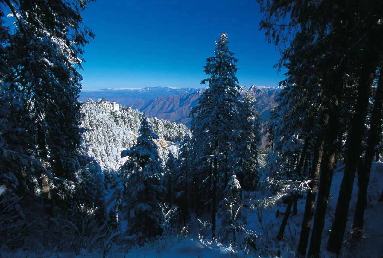 Wildflower Hall, An Oberoi Resort, Shimla foto