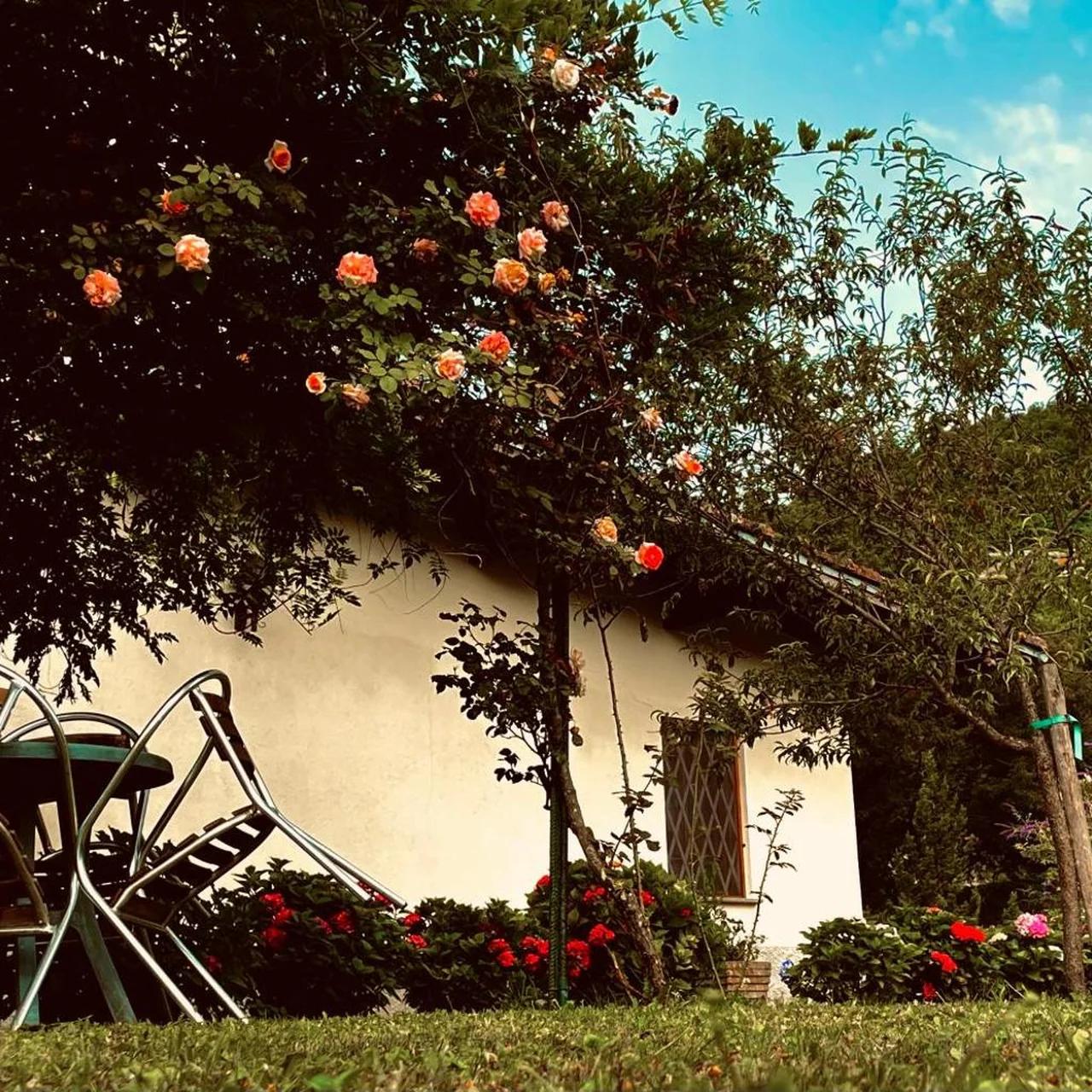 Albergo Garrè foto