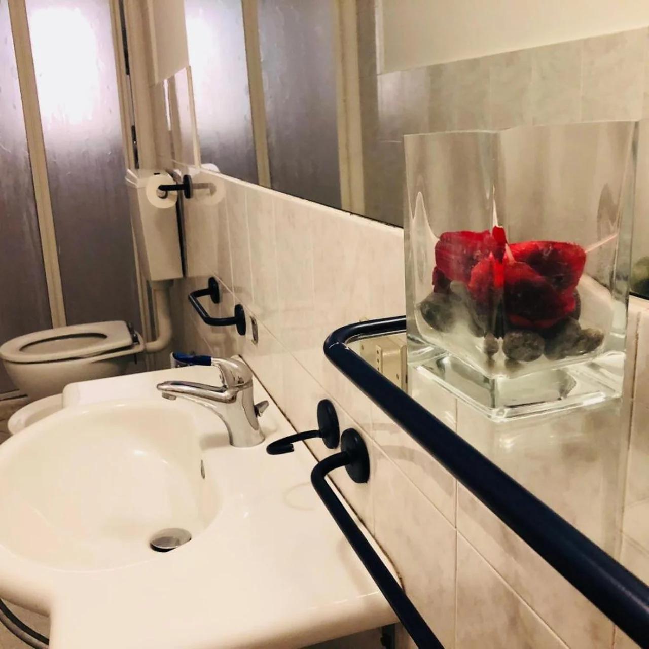 Cinque terre SUITE foto