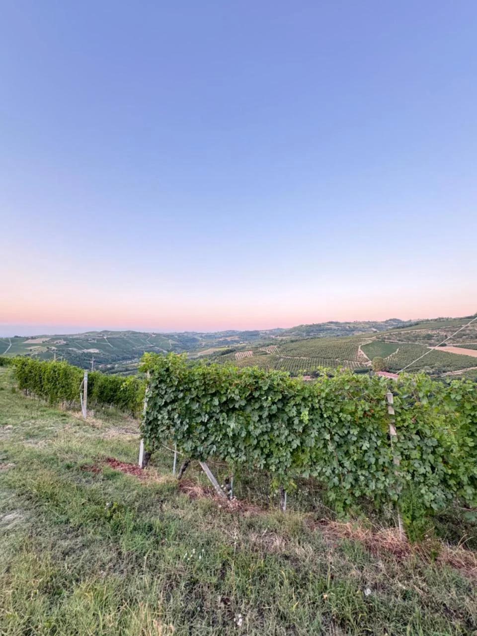 Cascina Calupo foto