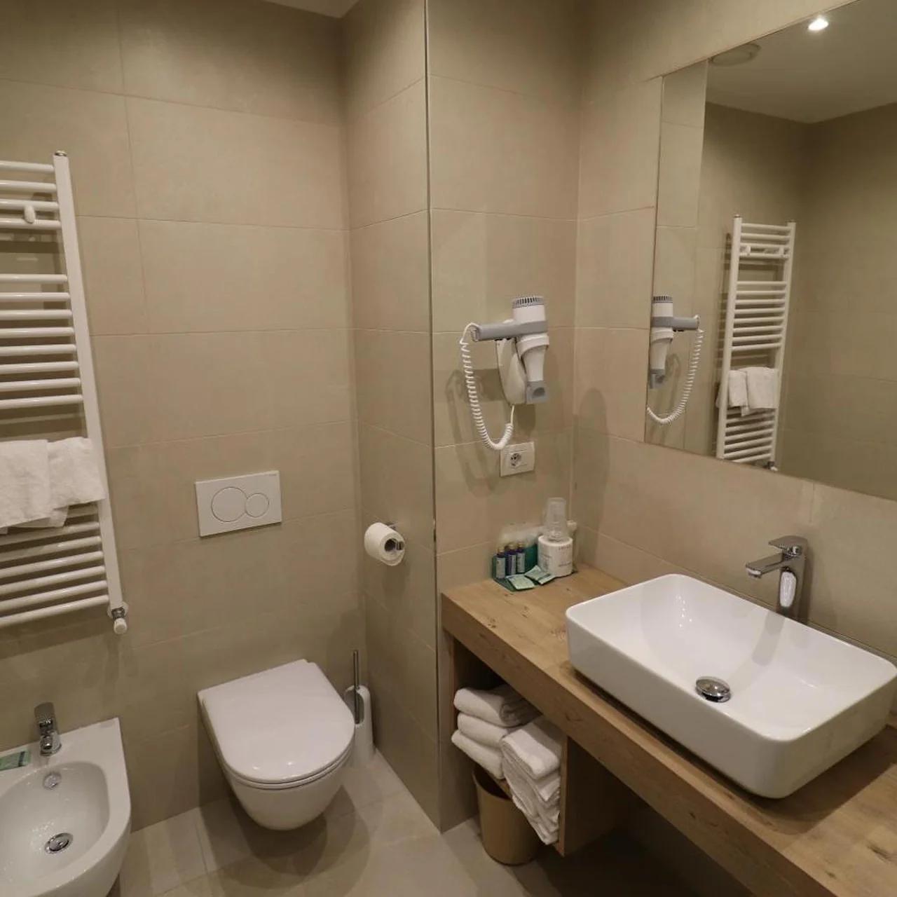 Hotel Domenichino photo
