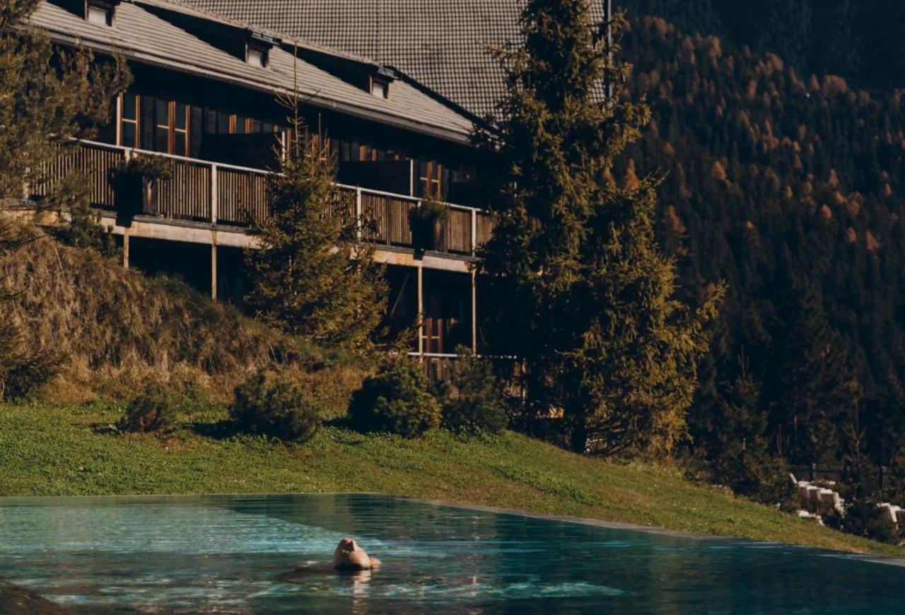 Forestis Dolomites photo