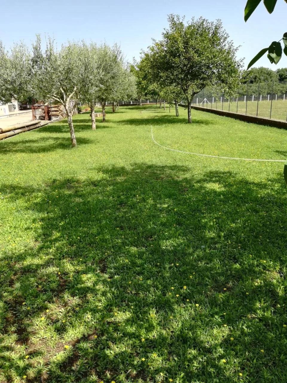 La Casa di Ori foto