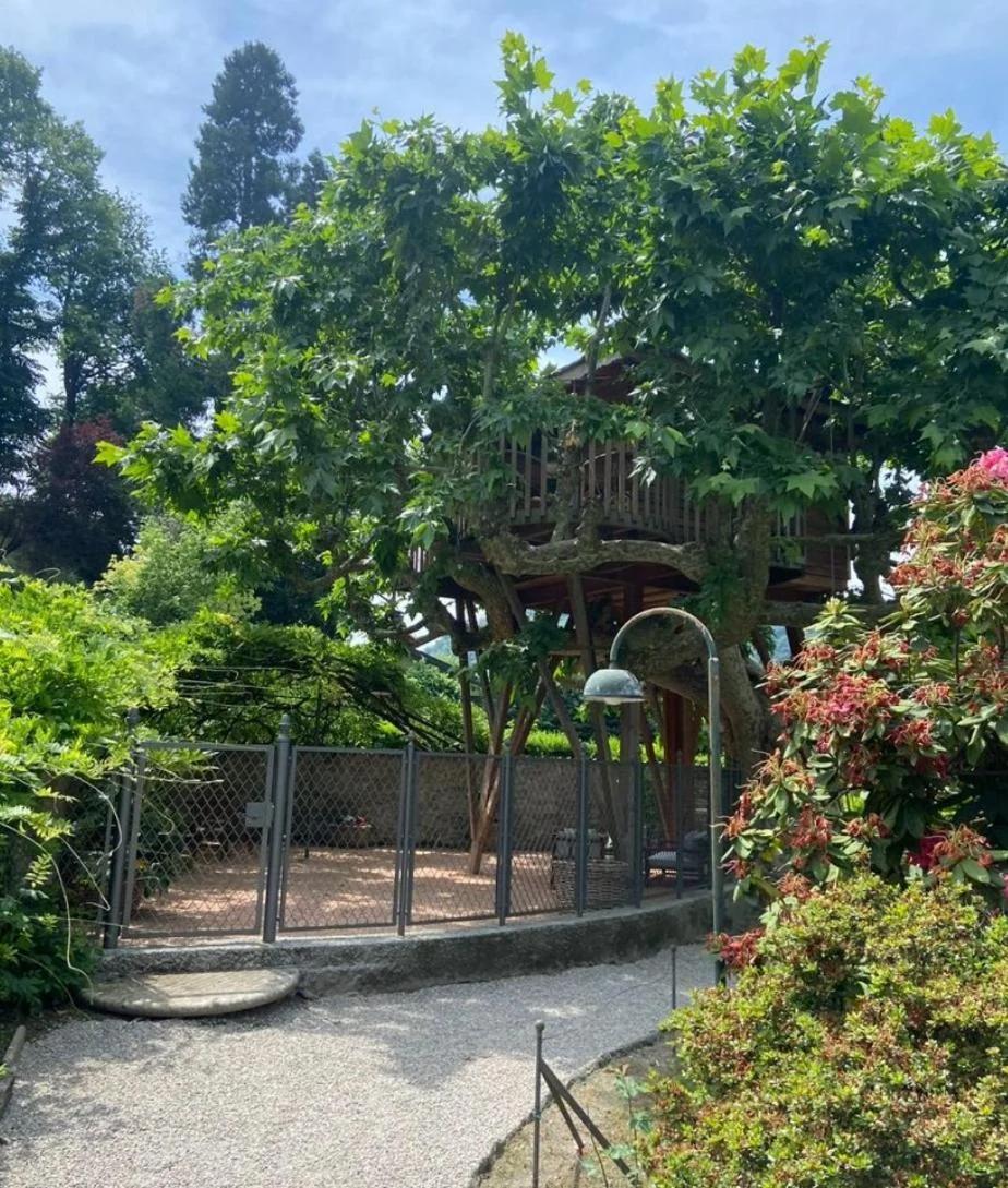 Lake Como Dream Tree House photo