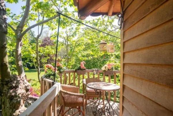 Lake Como Dream Tree House photo
