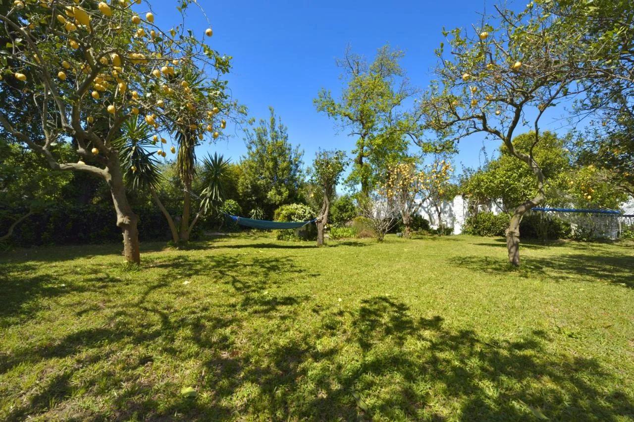 Le Querce foto