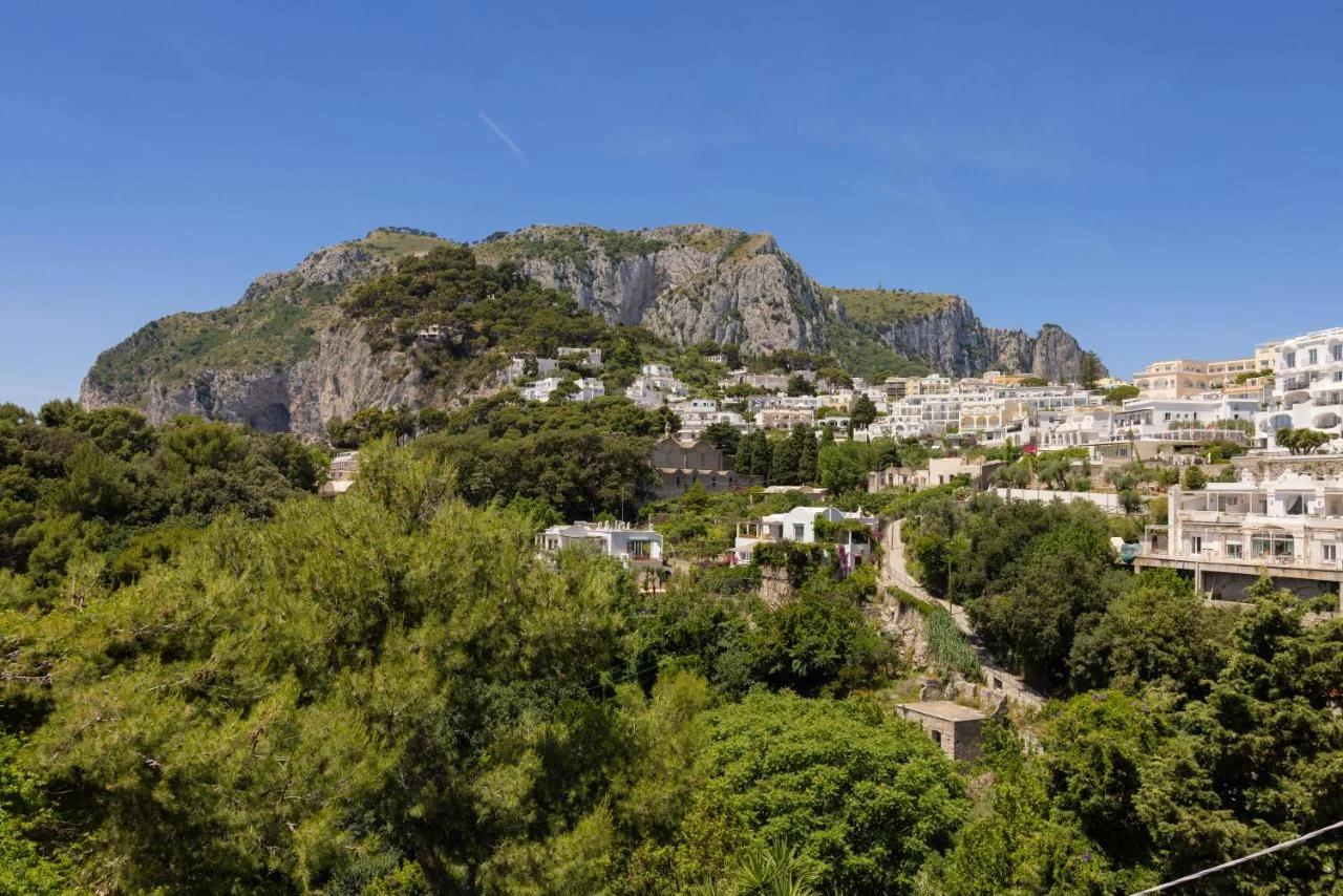 Oliveto Capri apartments photo