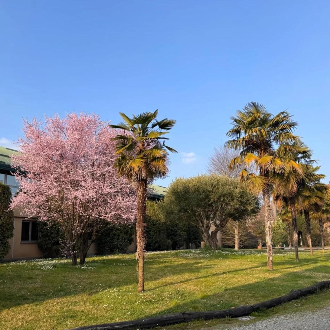 Parco Hotel Sassi photo