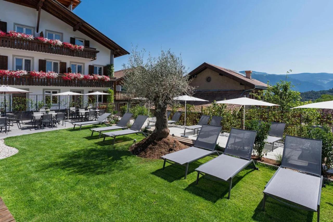 Residence Alpina photo