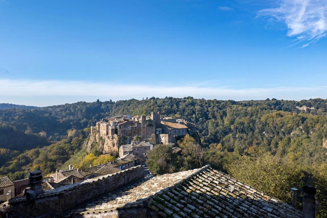 SopraBosco Calcata Art & Design Apartment photo