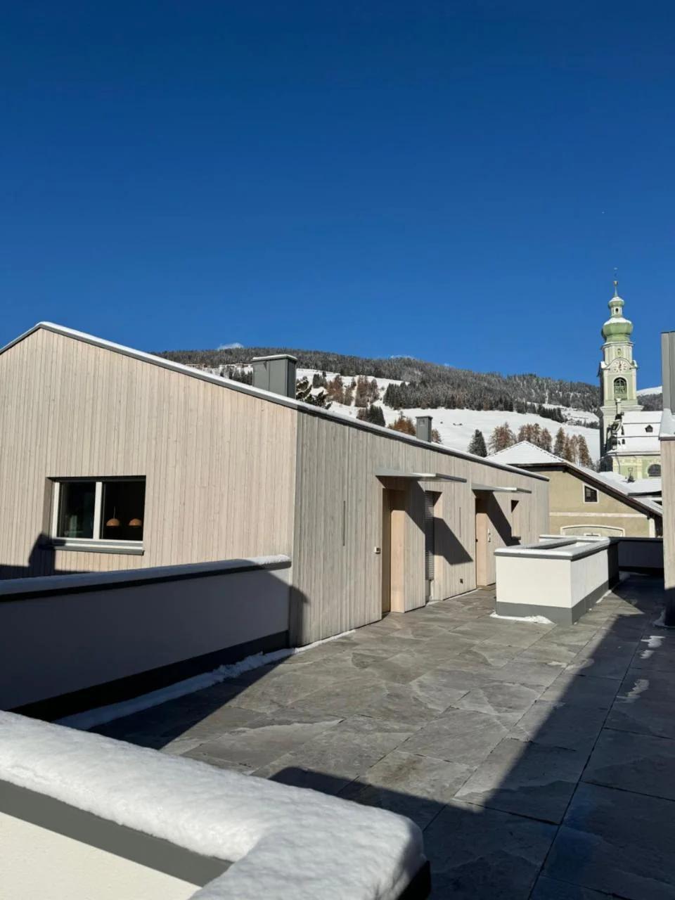 stella alpina photo