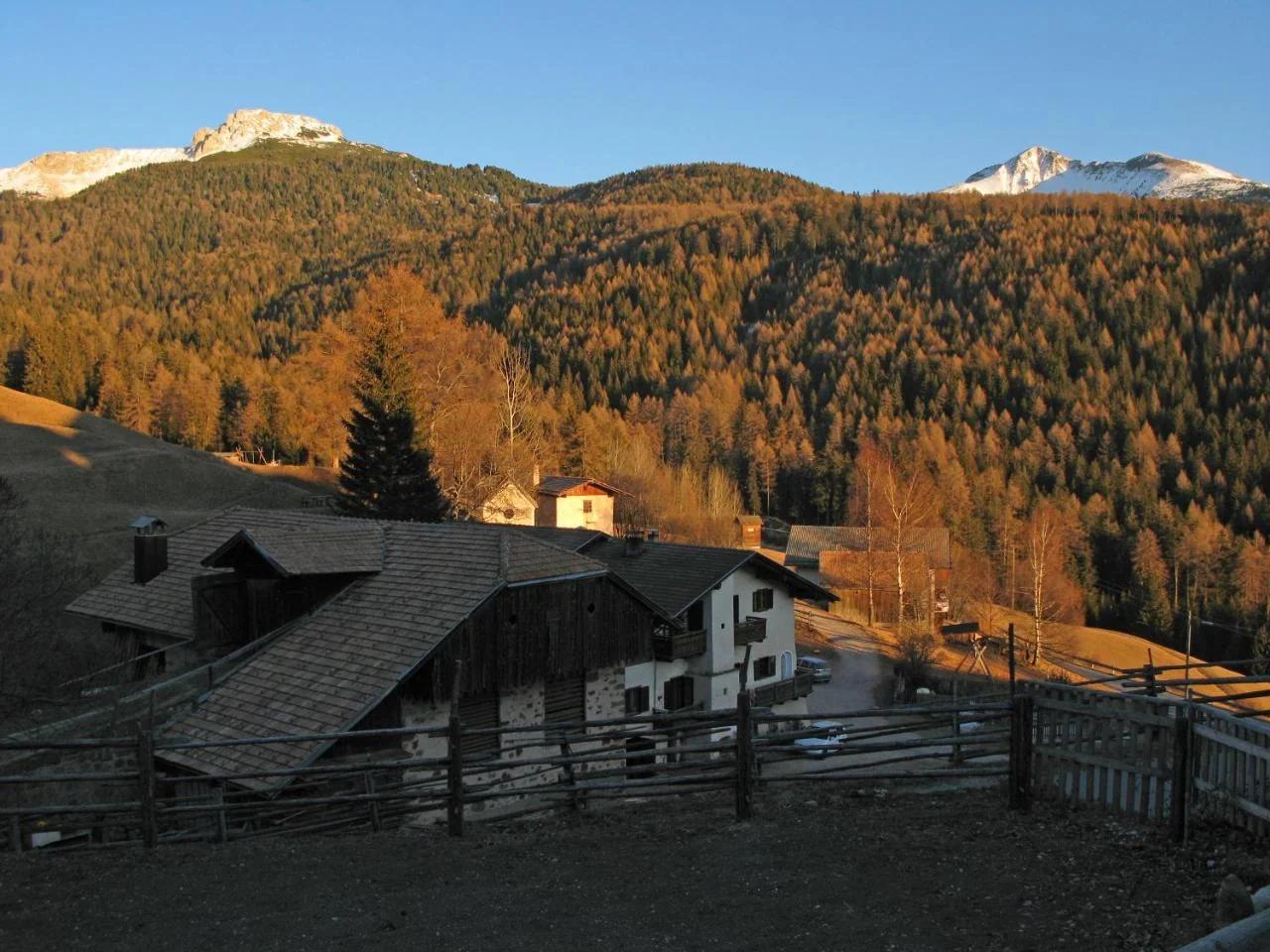 THOMASERHOF foto