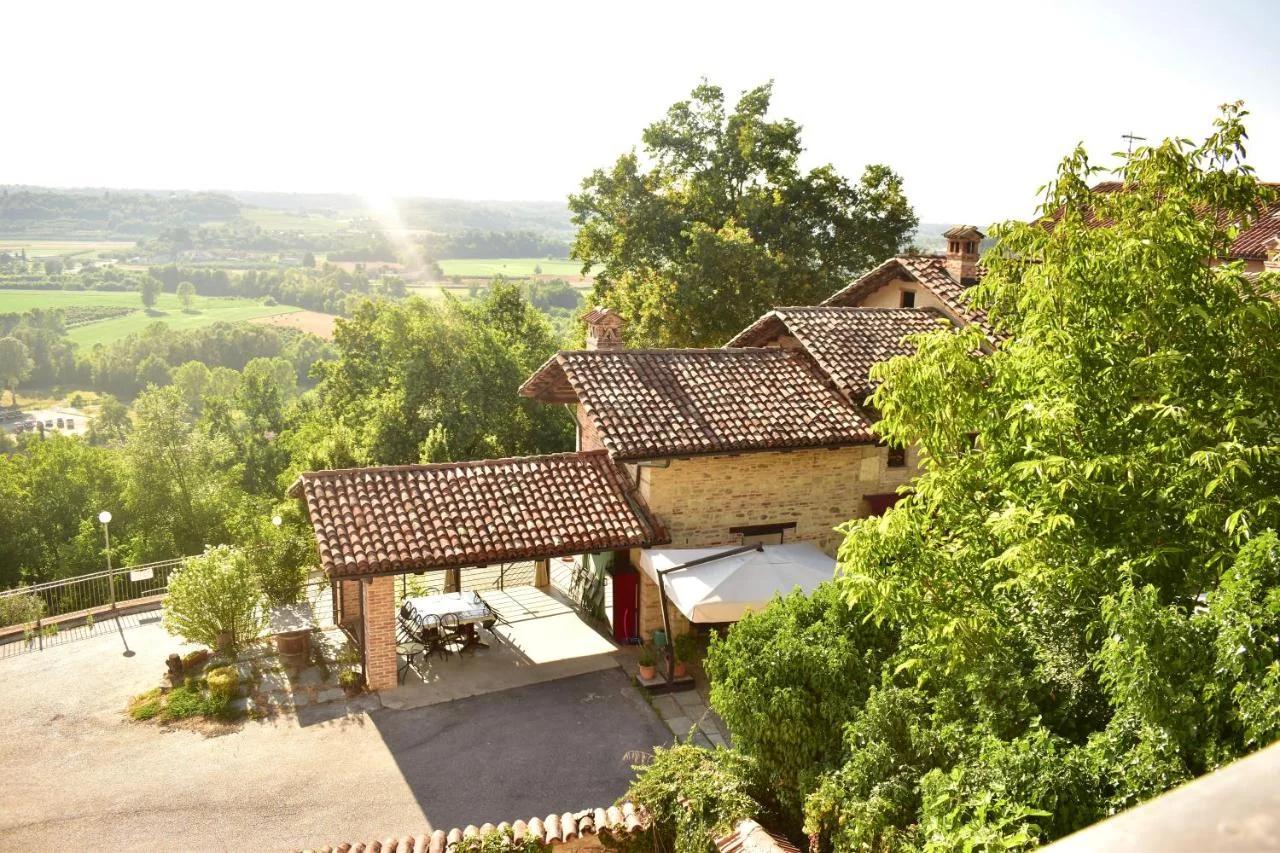 tra Arte e Querce foto
