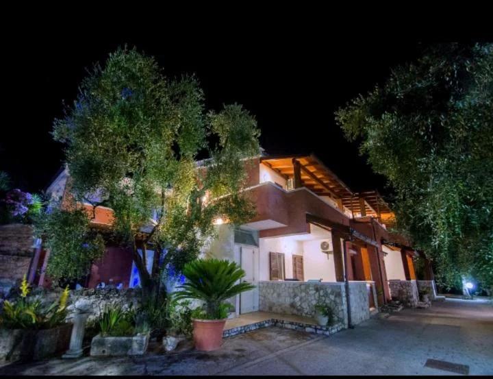Villa Calma photo