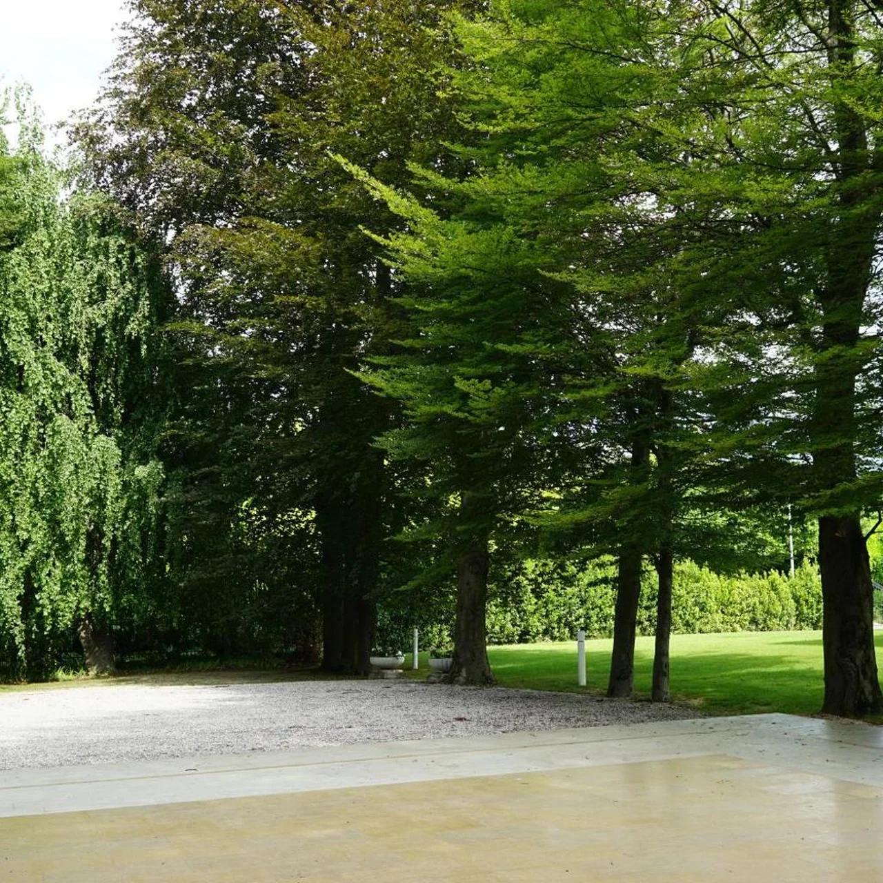 Villa Paola foto