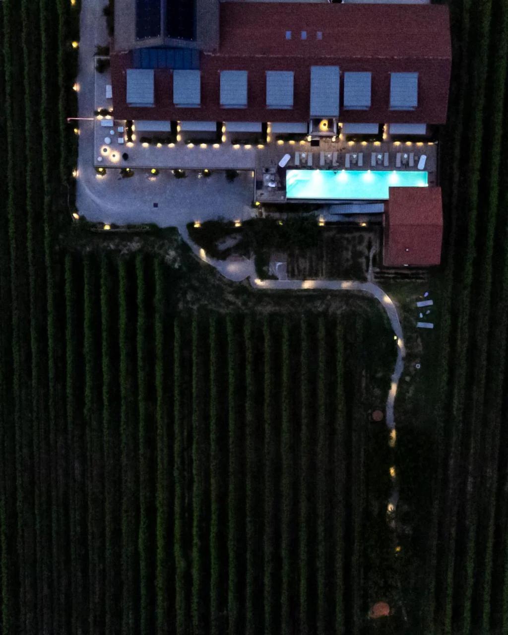 VINEHO photo