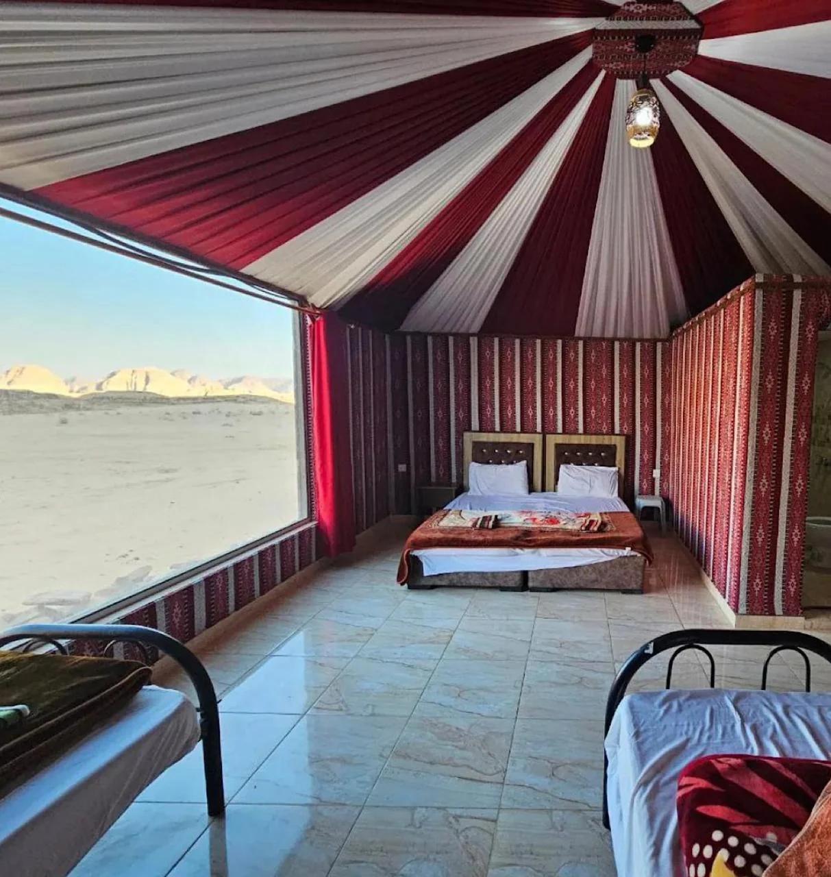 Camp in the natural reserve & tours