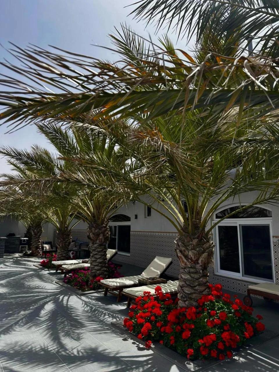 Golden rays chalet photo
