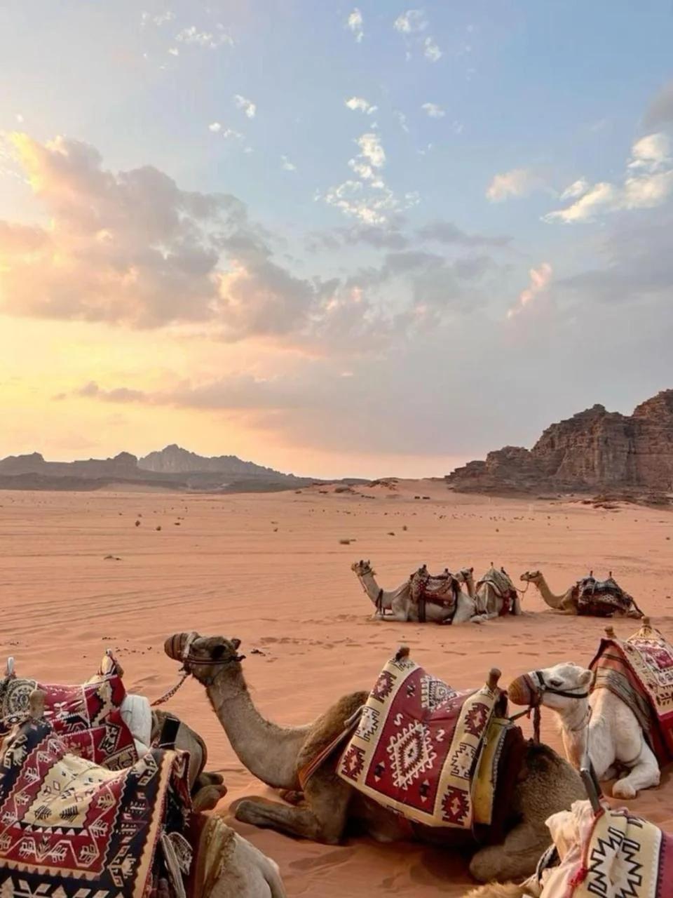 Najd Luxury Camp photo