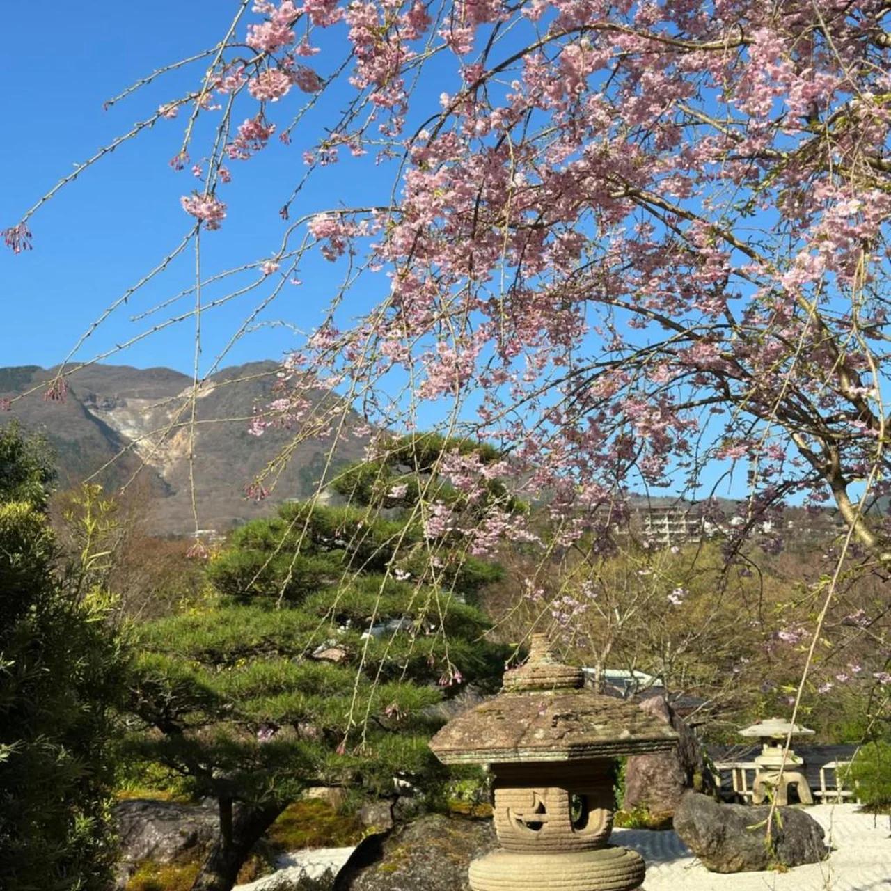 Onsen & Garden -Asante Inn- photo