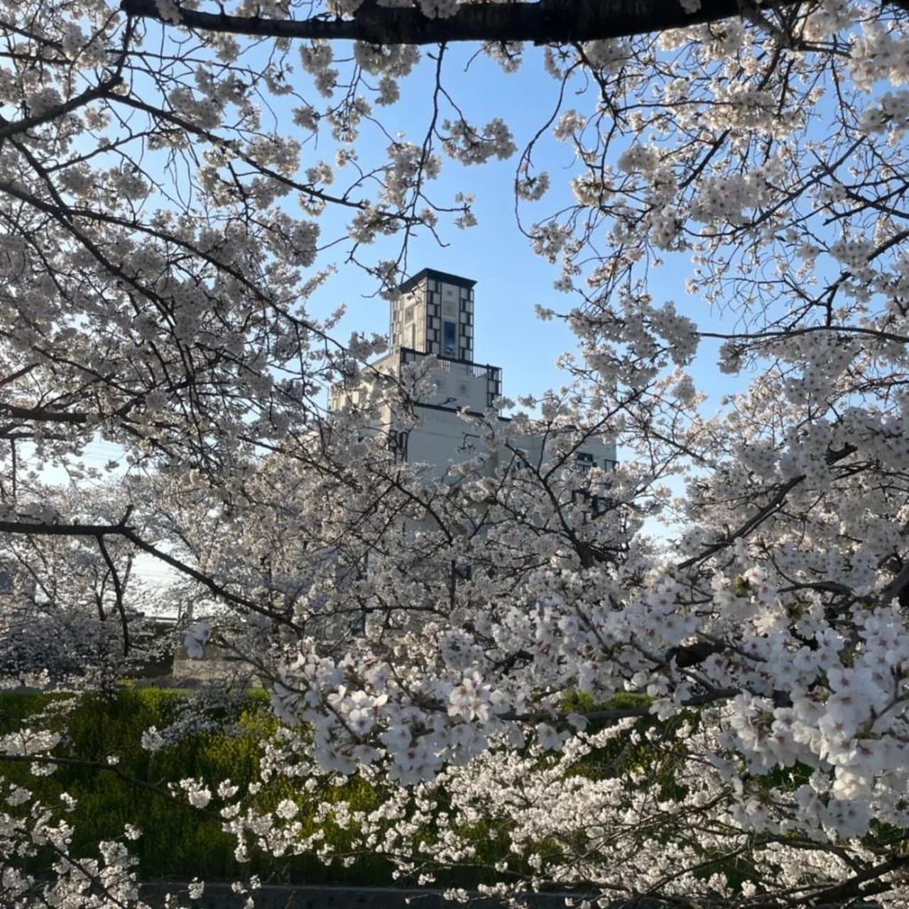 AURA Resort Nara (Adult Only) photo