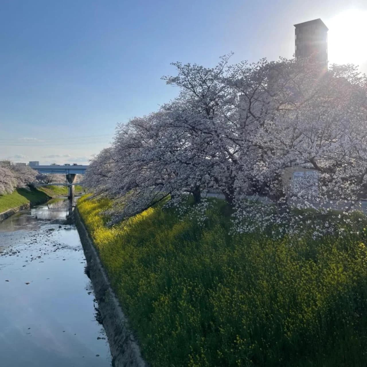 AURA Resort Nara (Adult Only) photo