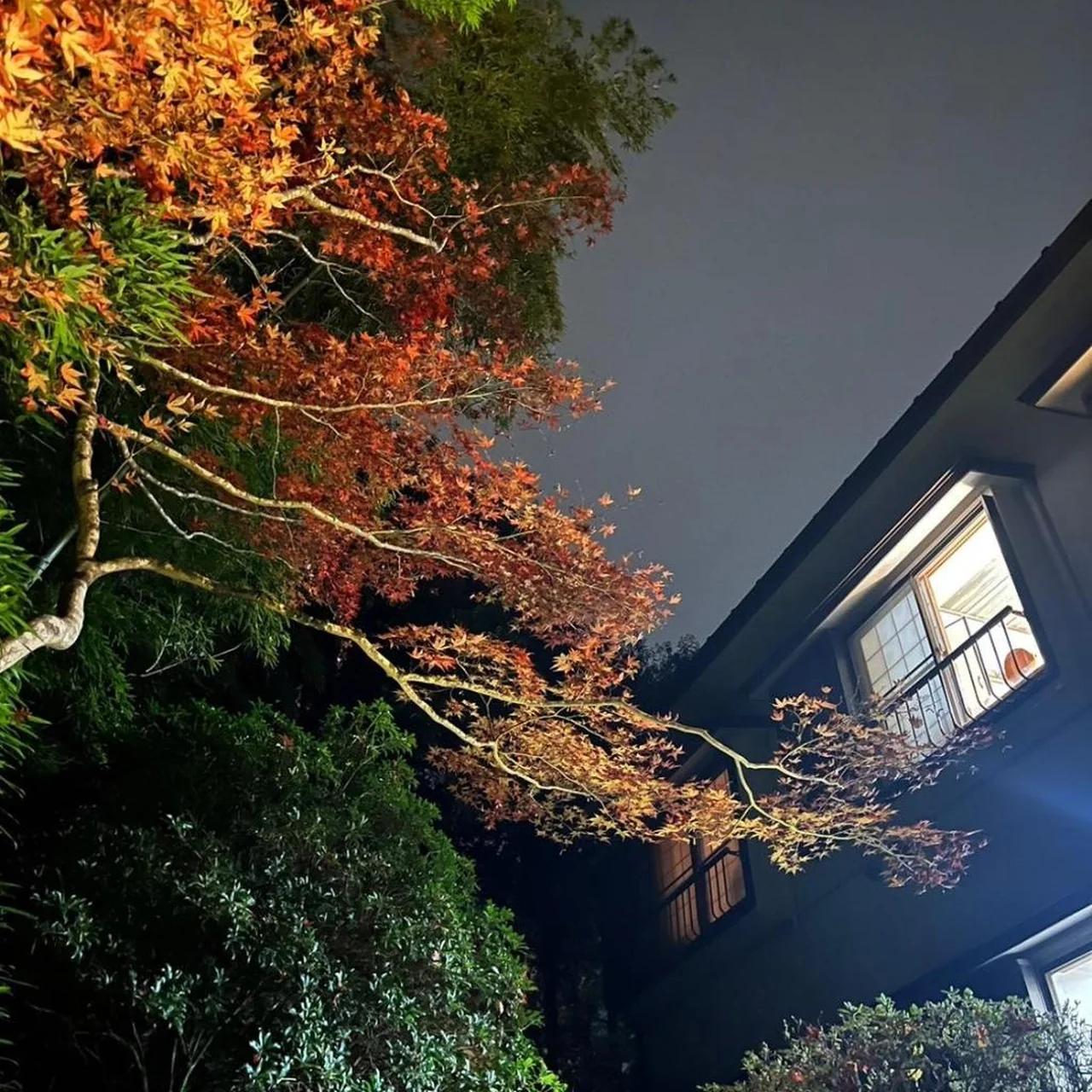 Fuji-Hakone Guest House photo