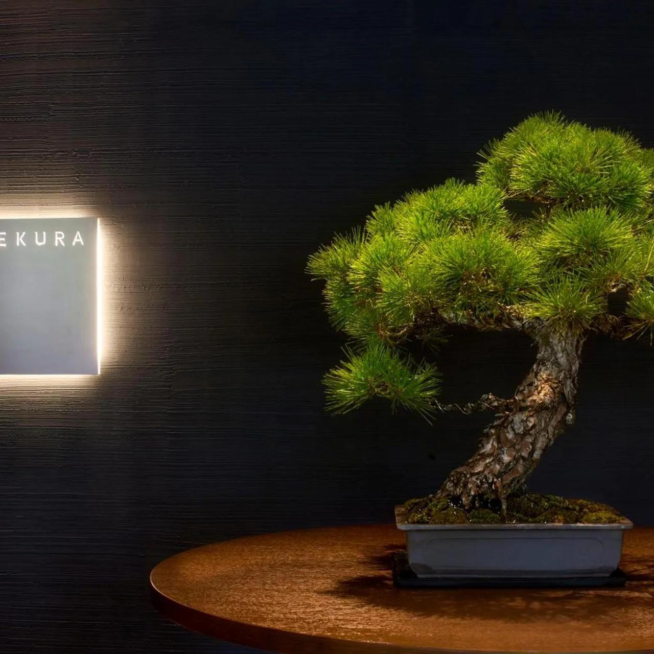 JW Marriott Hotel Nara photo