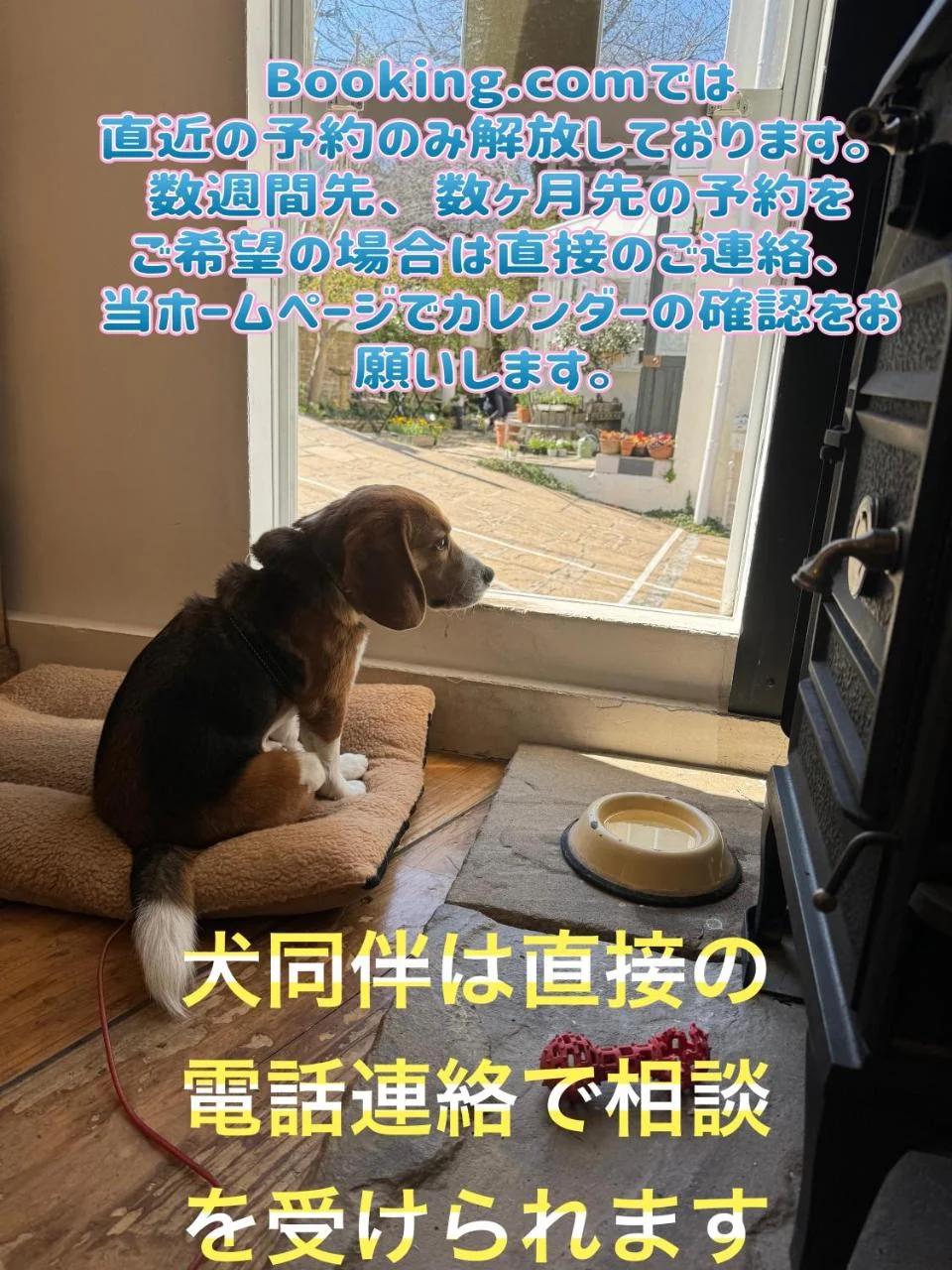 Kamakurayama Holiday Flat photo