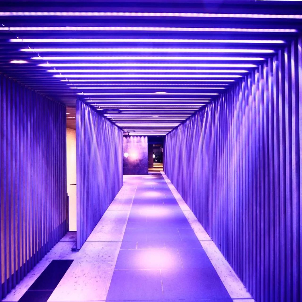 The Royal Park Hotel Kyoto Sanjo photo