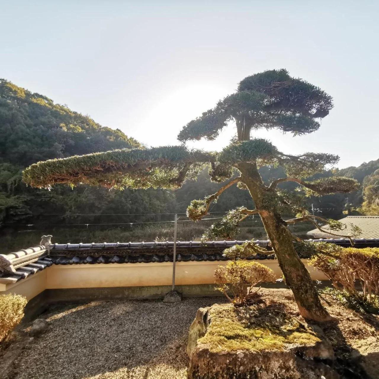 奈良公園から車で約10分Jr奈良駅から車で約15分 福宿