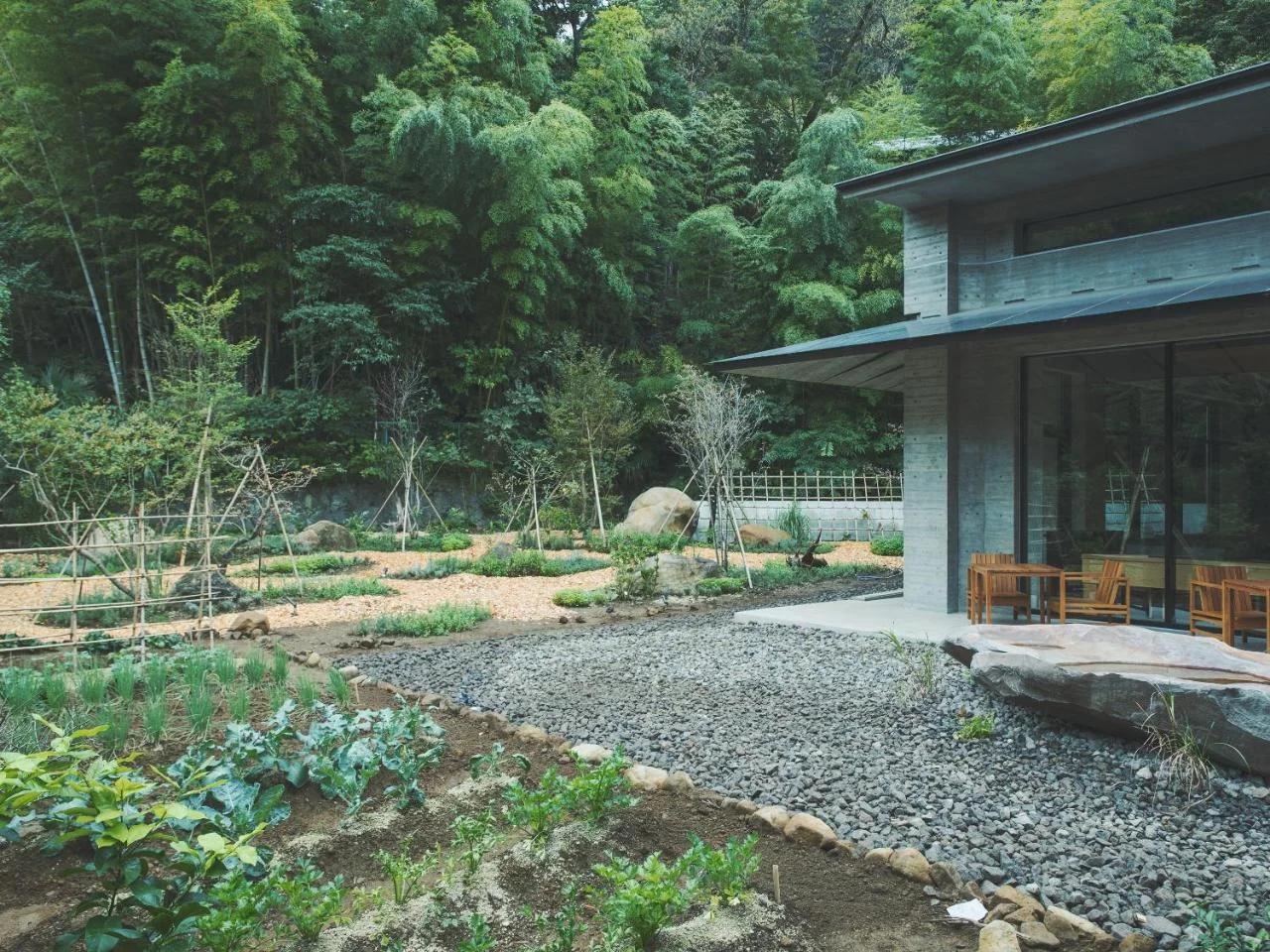 SOKI ATAMI photo