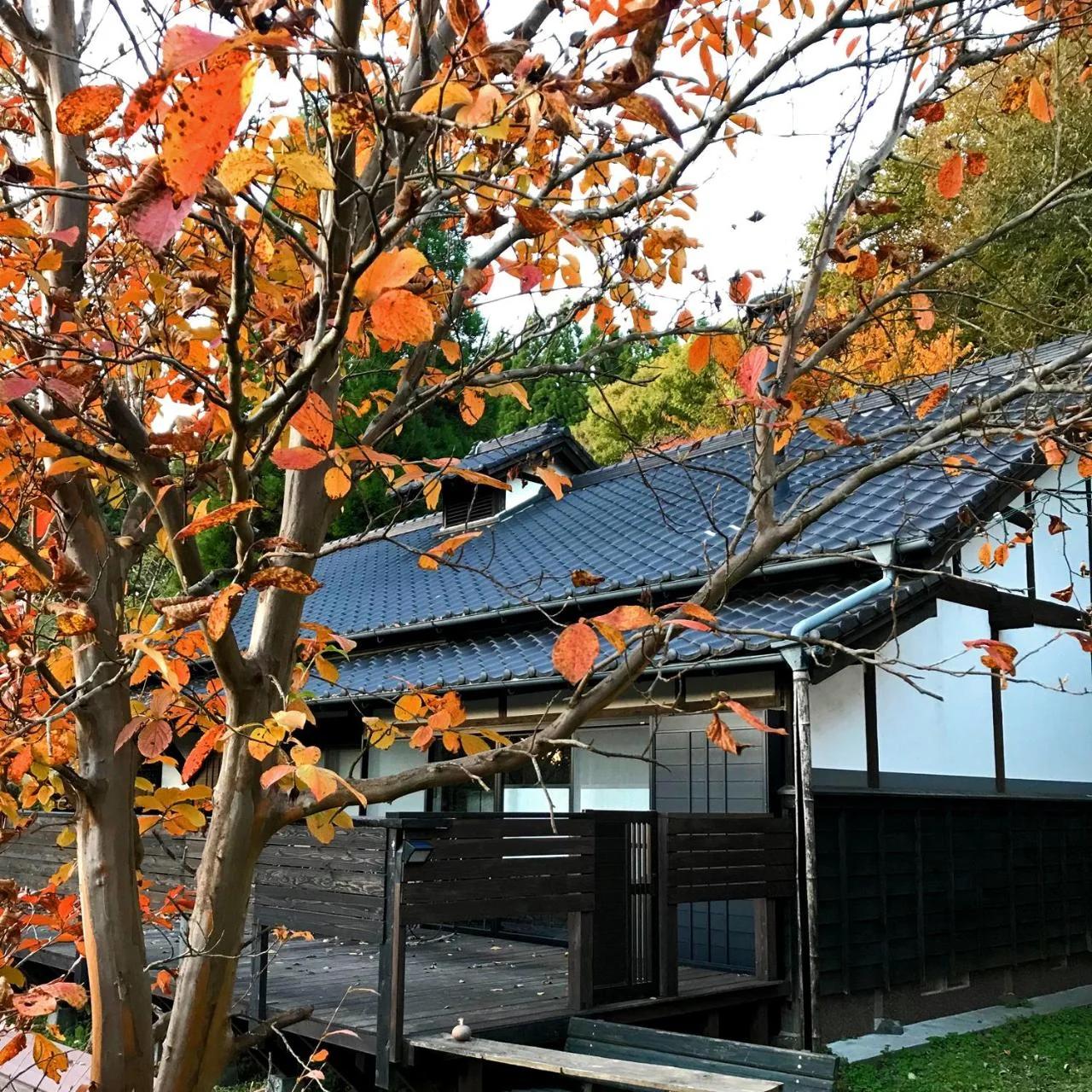 Villa falo yamato photo