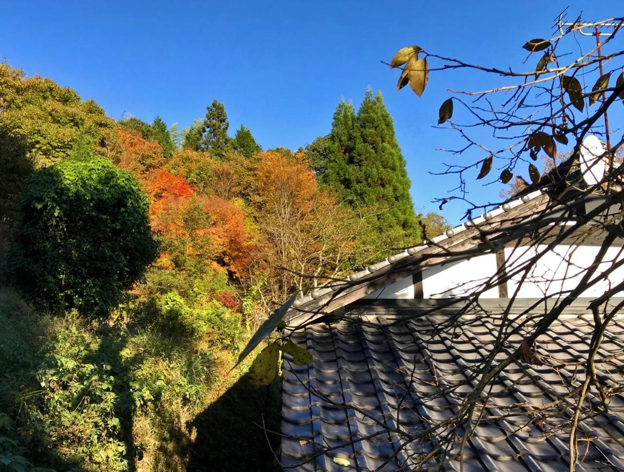 Villa falo yamato photo