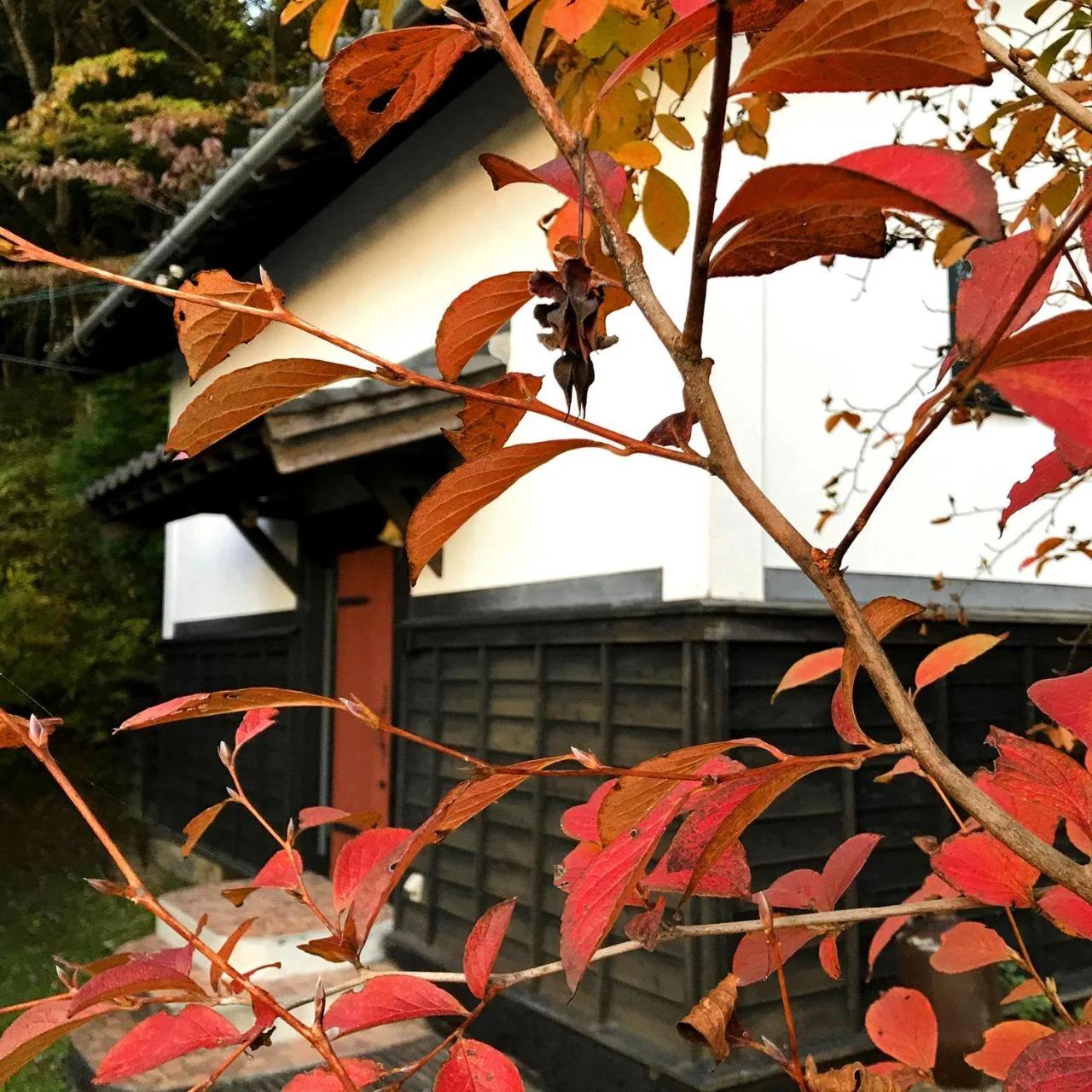 Villa falo yamato photo