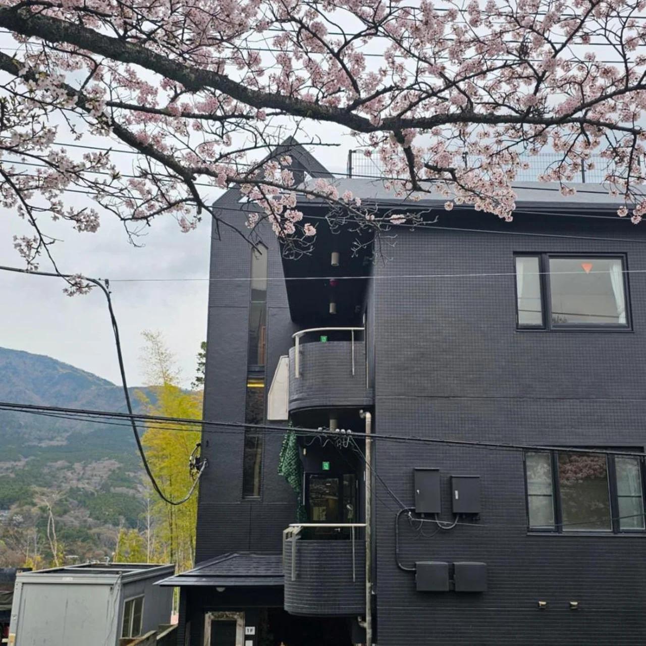Hakone Guest House gaku. photo